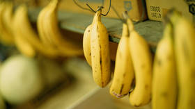 UK to finally scrap EU ‘bent bananas’ rule